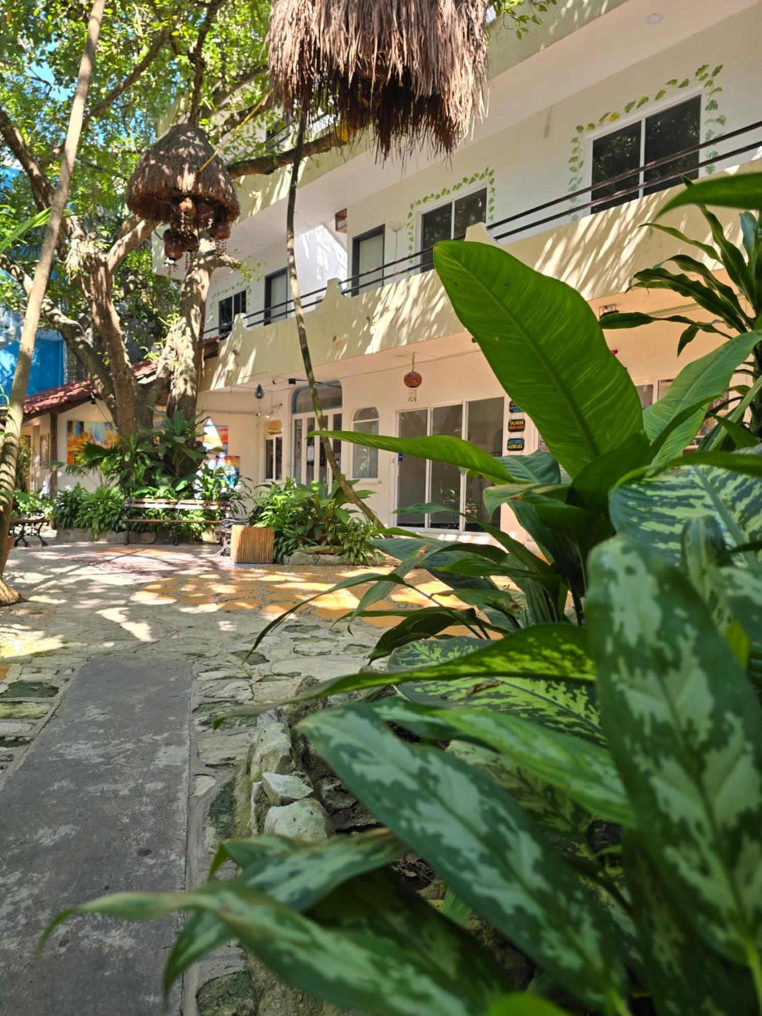 Hotel Ha Garden Gallery - 5Th Avenue Playa del Carmen Exteriör bild