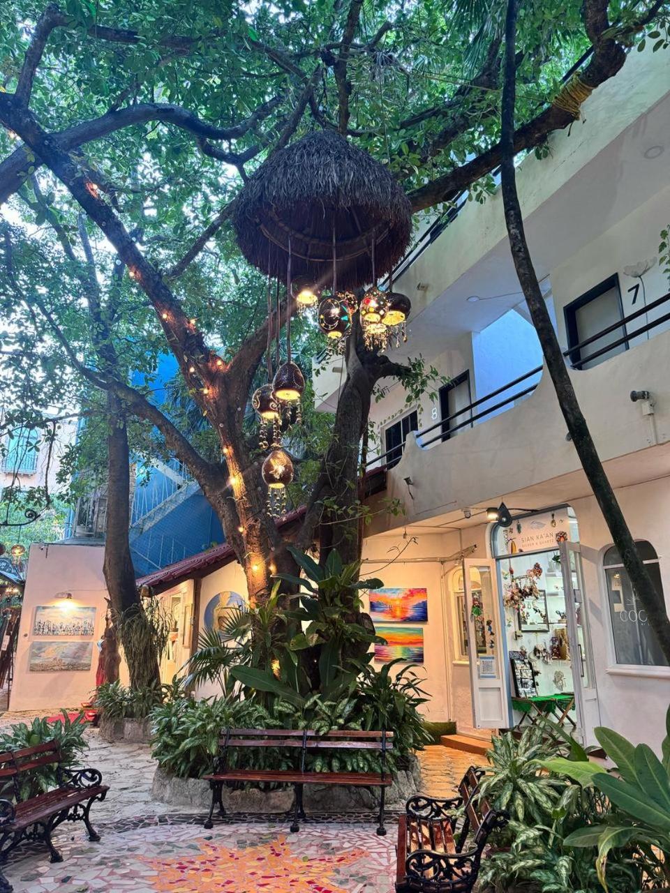 Hotel Ha Garden Gallery - 5Th Avenue Playa del Carmen Exteriör bild