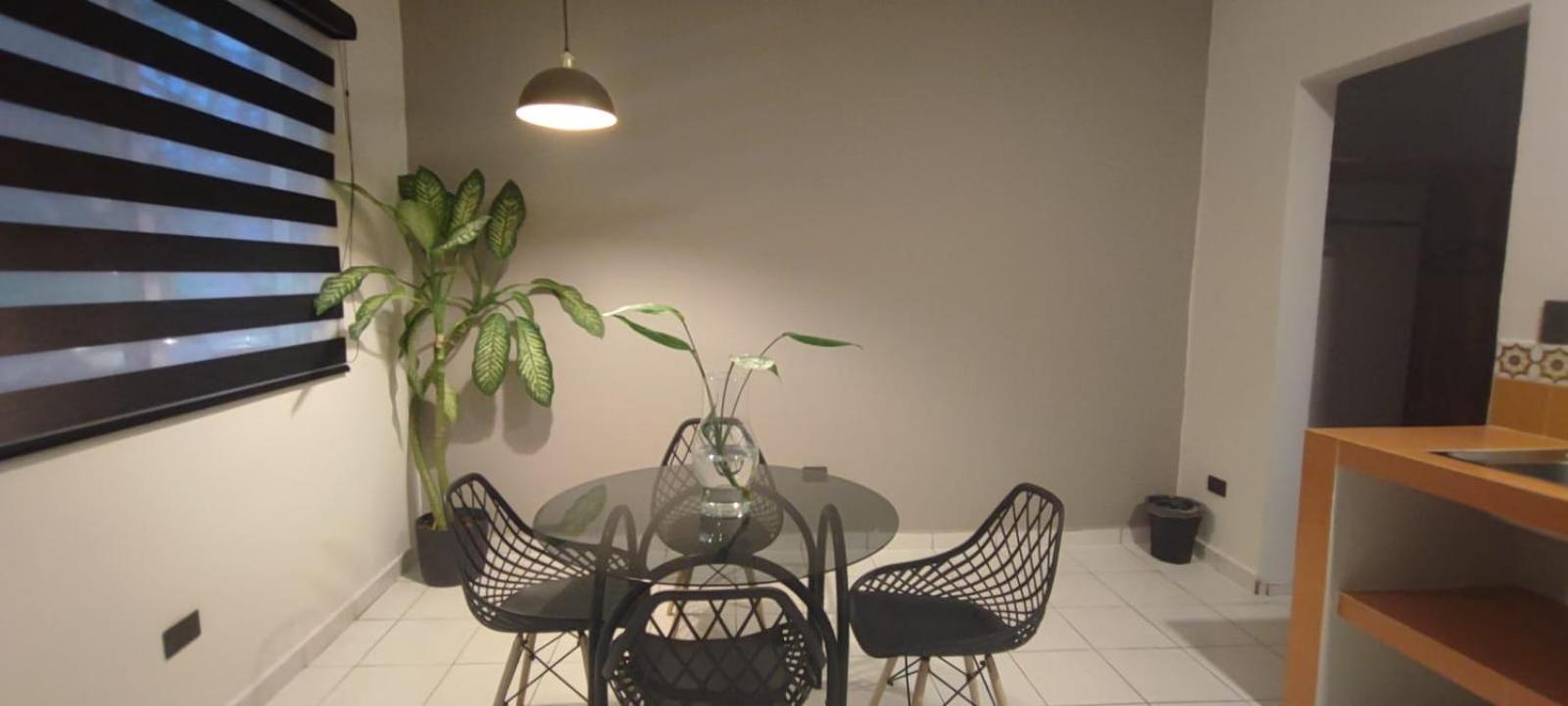 Hotel Ha Garden Gallery - 5Th Avenue Playa del Carmen Exteriör bild