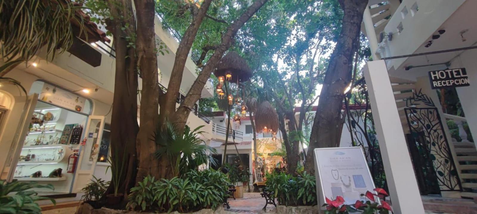 Hotel Ha Garden Gallery - 5Th Avenue Playa del Carmen Exteriör bild