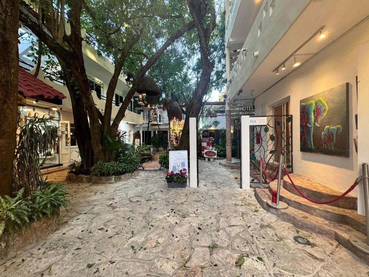 Hotel Ha Garden Gallery - 5Th Avenue Playa del Carmen Exteriör bild