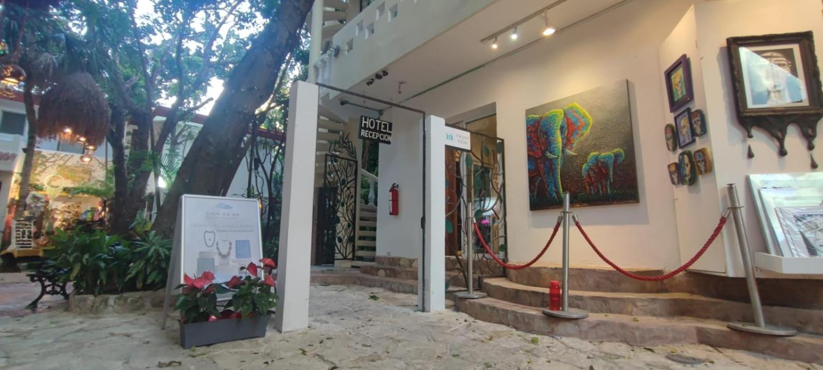 Hotel Ha Garden Gallery - 5Th Avenue Playa del Carmen Exteriör bild